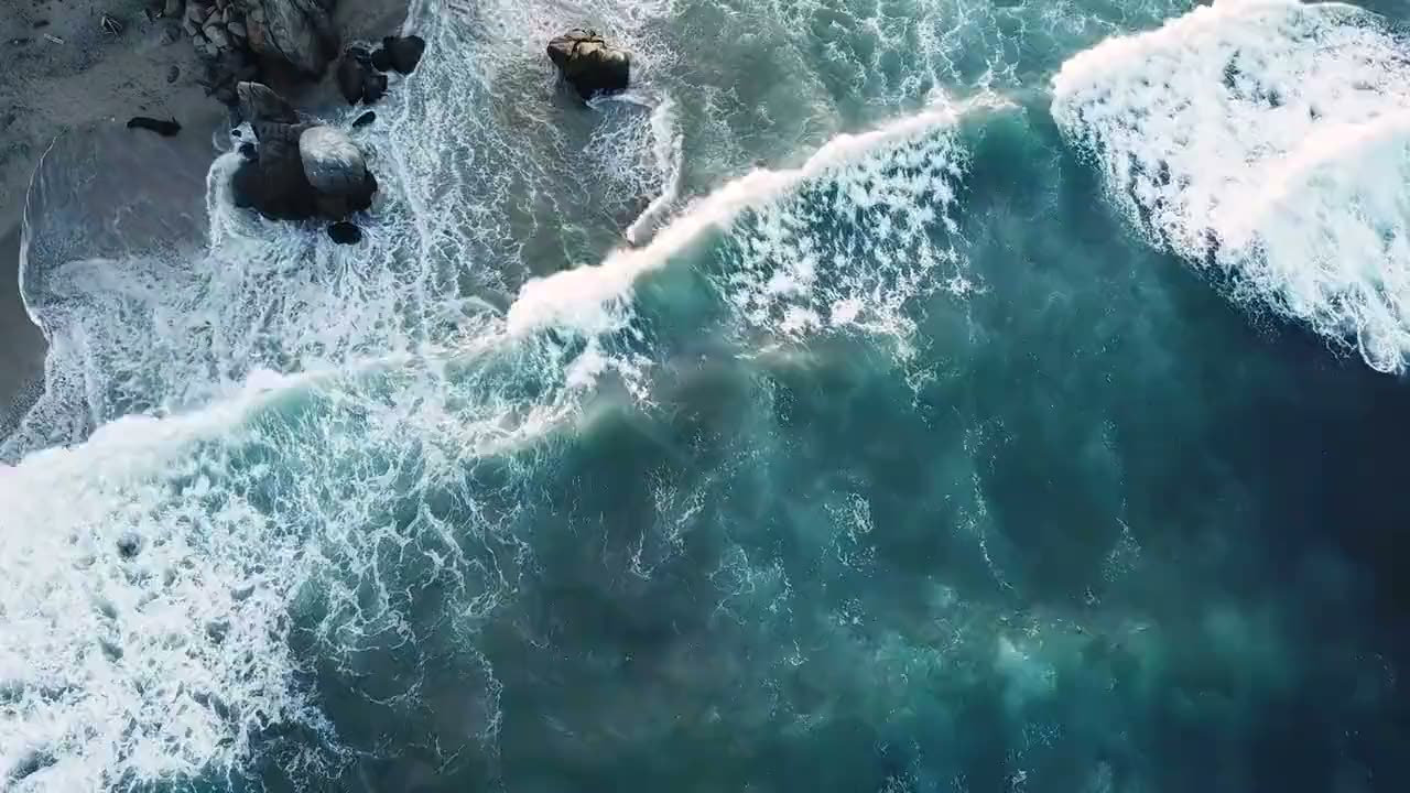 The central Pacific coastline from the air, rainforest meeting the sea