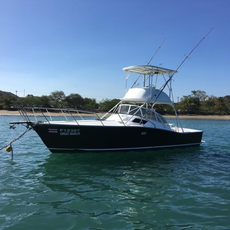 Great Marlin bow-on, black hull, Herradura Bay