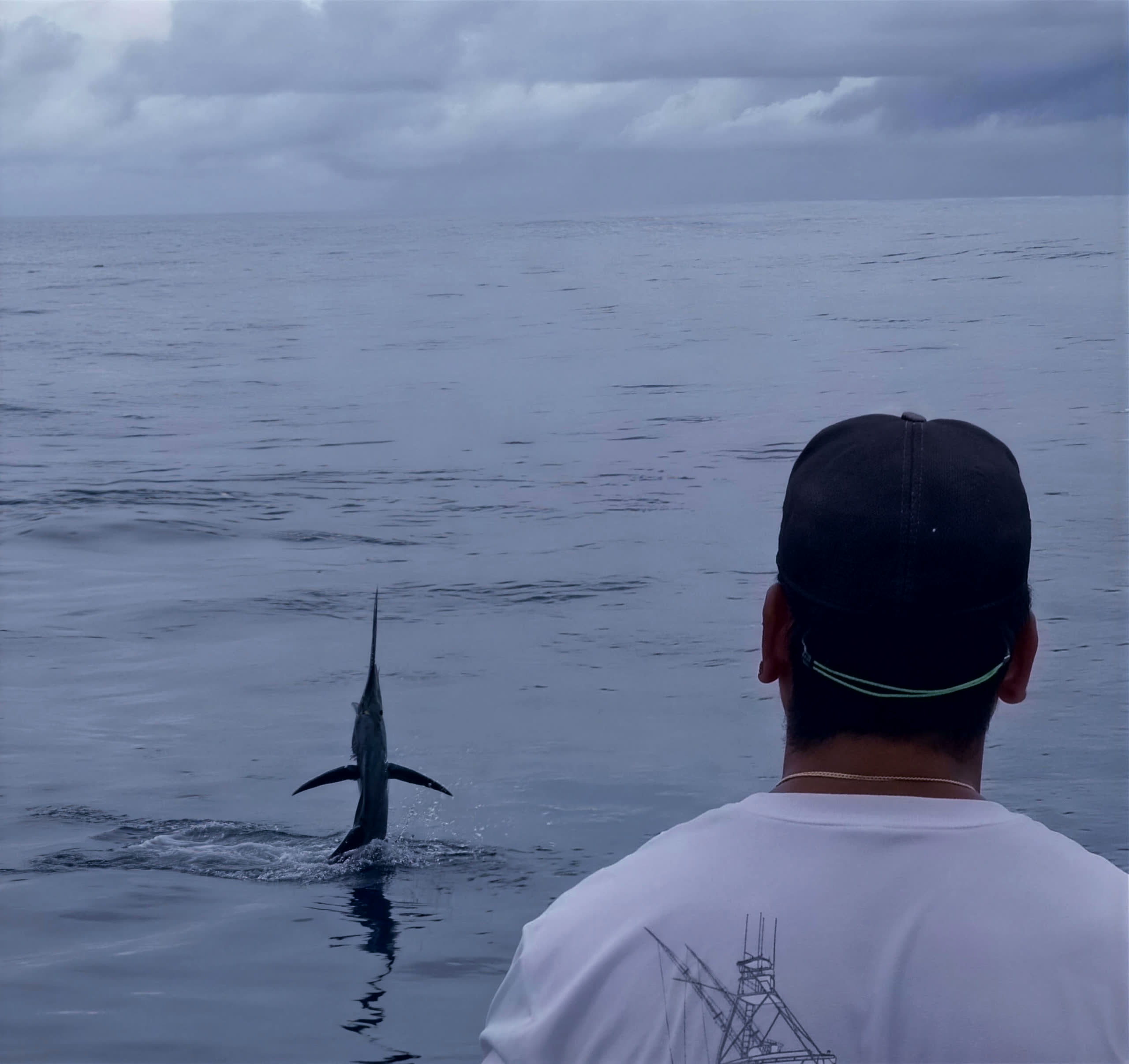 A guest at the stern watches a sailfish tail-walk across the surface a boat-length away
